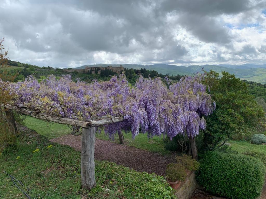La Locanda Volpaia Radda in Chianti Exteriér fotografie