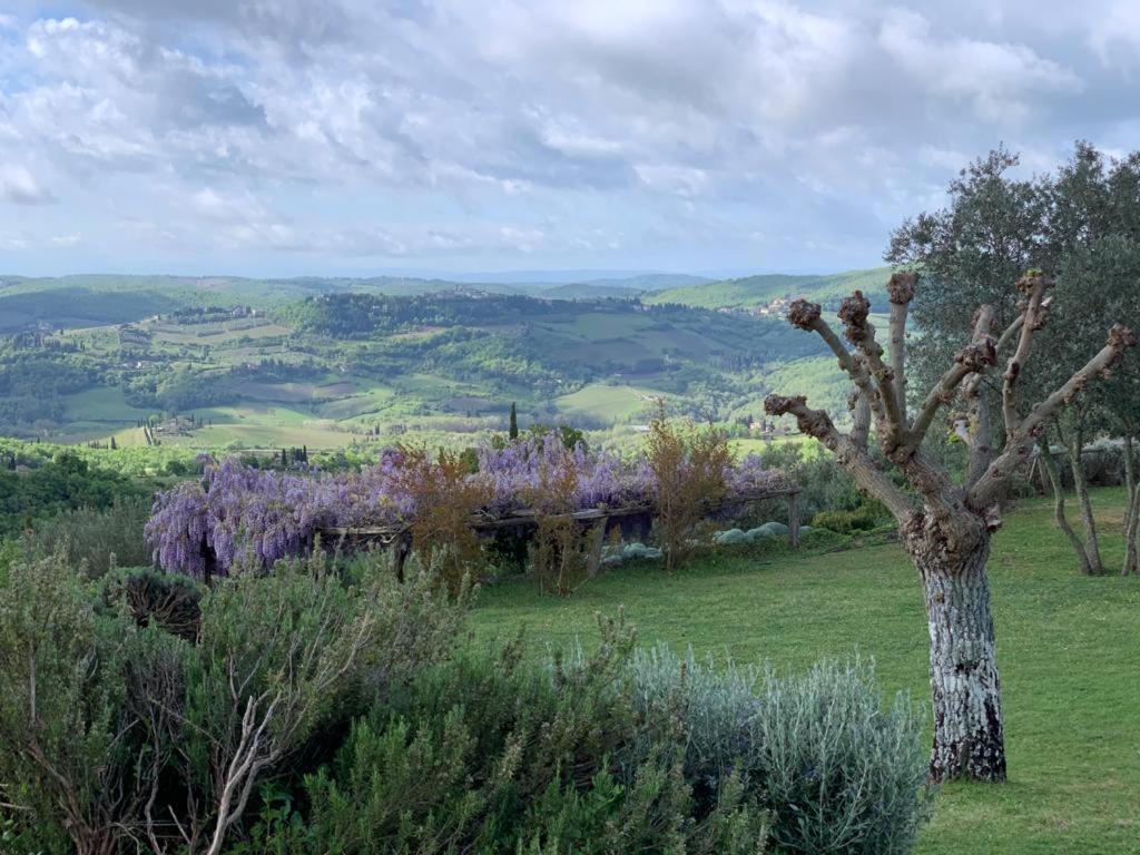 La Locanda Volpaia Radda in Chianti Exteriér fotografie